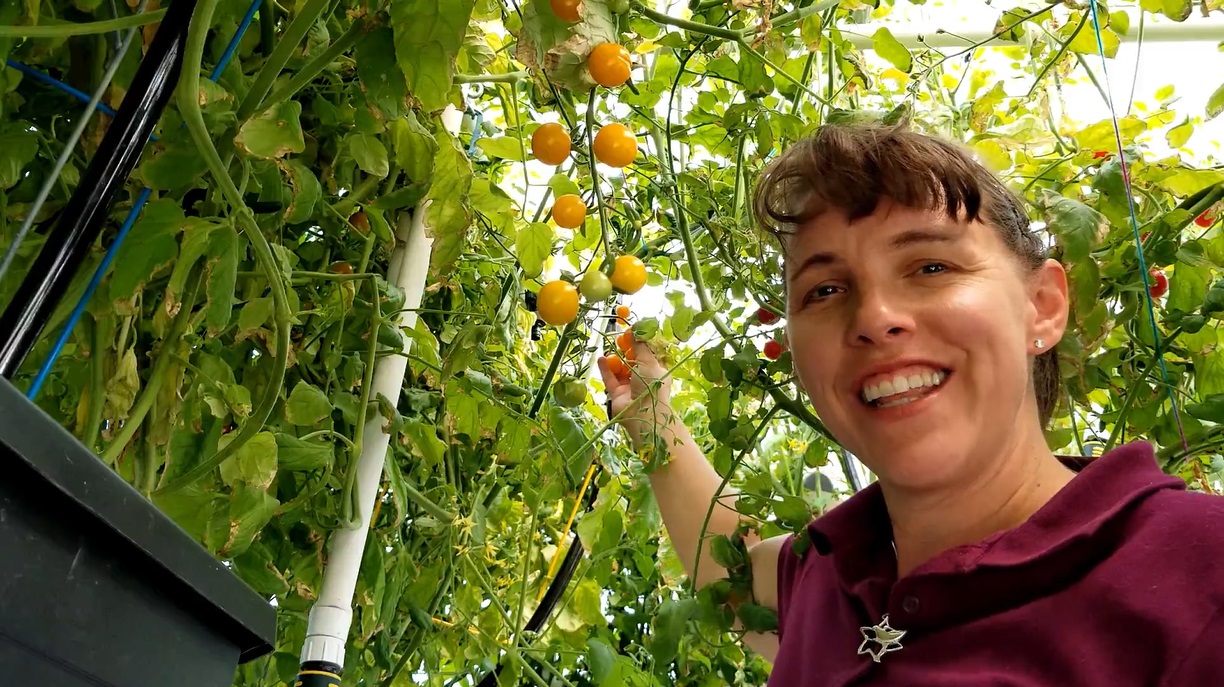 Quick Start Hydroponics - Image 2